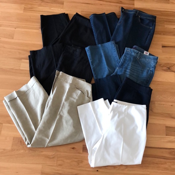 Elie Tahari Pants - Plus Size Designer Pants Bundle